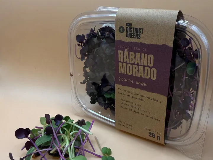 Pack de 28 g de Rábano Morado con su faja kraft