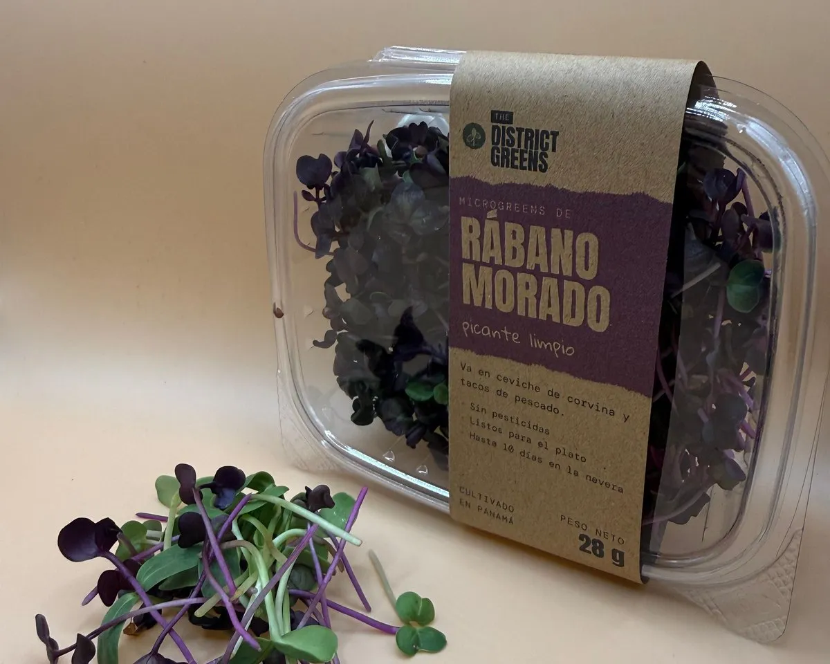 Pack de 28 g de Rábano Morado con su faja kraft